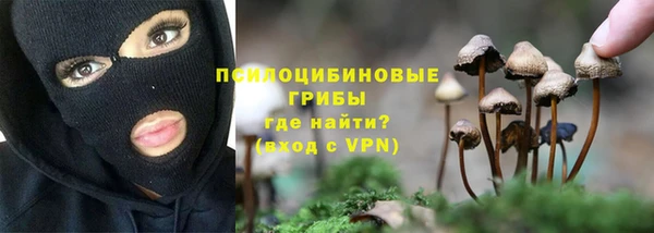не бодяженный Осташков