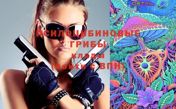 прущая мука Няндома