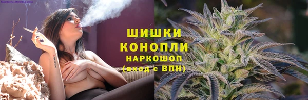 гидра Нязепетровск