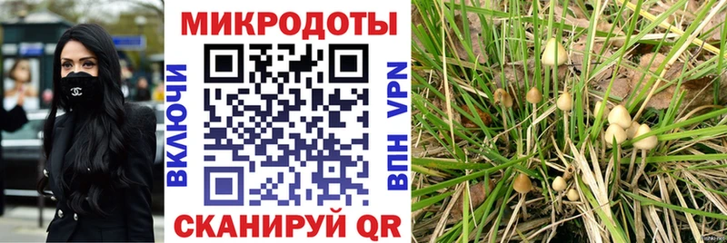 Галлюциногенные грибы мухоморы  Смоленск 