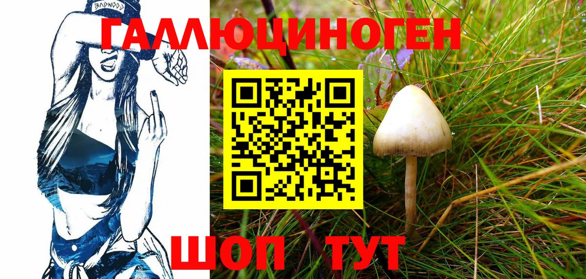 Галлюциногенные грибы Psilocybe  Вход с VPN  Смоленск 